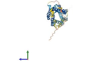 AlphaFold protein structure predicition of Human Recombinant CCR10 Protein, UniprotID P46092
