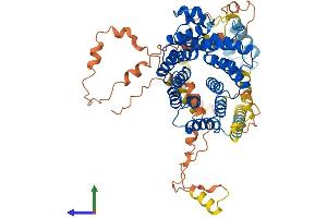 AlphaFold protein structure predicition of Mouse Recombinant Pex5 Protein, UniprotID O09012