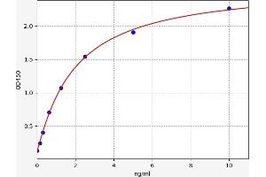 Typical standard curve (MYB ELISA 试剂盒)