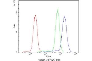 Flow cytometry testing of human U-87 MG cells with SSH3BP1 antibody at 1ug/10^6 cells (blocked with goat sera) (ABI1 抗体)