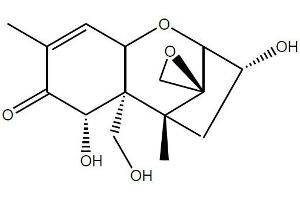 Antigen structure: Deoxynivalenol (DON) (Deoxynivalenol 抗体)