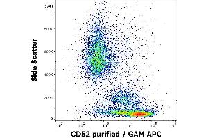 Flow cytometry surface staining pattern of human peripheral whole blood stained using anti-human CD52 (4C8) purified antibody (concentration in sample 0,6 μg/mL, GAM APC). (CD52 抗体)