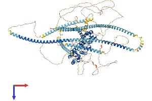 AlphaFold protein structure predicition of Mouse Recombinant Ppfia2 Protein, UniprotID Q8BSS9