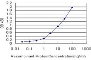 Detection limit for recombinant GST tagged PRKCD is approximately 0. (PKC delta 抗体  (AA 577-676))