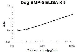 Dog BMP-5 PicoKine ELISA Kit standard curve