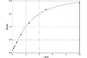 Transcription Factor CP2 (TFCP2) ELISA Kit