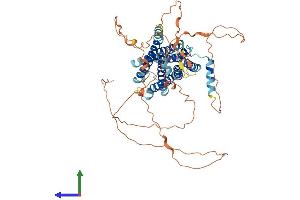 AlphaFold protein structure predicition of Human Recombinant GPR162 Protein, UniprotID Q16538