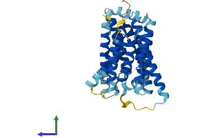 Protein Structure (PS) image for Solute Carrier Family 35 (UDP-N-Acetylglucosamine (UDP-GlcNAc) Transporter), Member A3 (SLC35A3) (AA 1-325) protein (His tag) (ABIN7551624)