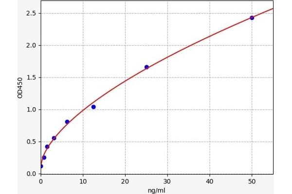 GSTM2 ELISA 试剂盒