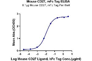 Immobilized Mouse CD27, mFc Tag at 1 μg/mL (100 μL/Well) on the plate.