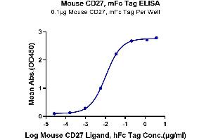 Immobilized Mouse CD27, mFc Tag at 1 μg/mL (100 μL/Well) on the plate. (CD27 Protein (AA 24-182) (mFc Tag))