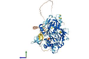 Protein Structure (PS) image for Biotin-Protein Ligase (HLCS) (AA 1-726) protein (His tag) (ABIN7552770)