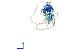 Protein Structure (PS) image for Chromosome 1 Open Reading Frame 38 (C1orf38) (AA 1-643) protein (His tag) (ABIN7544406)