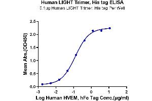 ELISA image for Tumor Necrosis Factor (Ligand) Superfamily, Member 14 (TNFSF14) (AA 89-240), (Trimer) protein (His-DYKDDDDK Tag) (ABIN7275148)