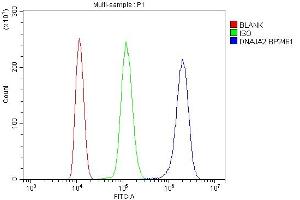 Flow Cytometry analysis of ANA-1 cells using anti-DNAJA2 antibody (ABIN7598991).