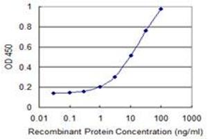 Detection limit for recombinant GST tagged CLN3 is 0. (CLN3 抗体  (AA 1-438))