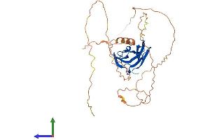Protein Structure (PS) image for Starch Binding Domain 1 (STBD1) (AA 1-358) protein (His tag) (ABIN7546421)