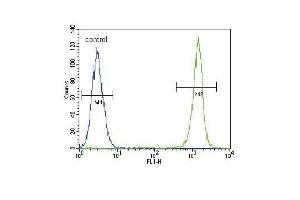 ACTA1 Antibody (ABIN1536597 and ABIN2843809) flow cytometric analysis of A549 cells (right histogram) compared to a negative control cell (left histogram). (Actin 抗体)