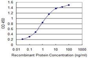 Detection limit for recombinant GST tagged IGKC is 0. (IGKC 抗体  (AA 1-236))
