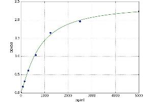 A typical standard curve (alpha Actinin 4 ELISA 试剂盒)
