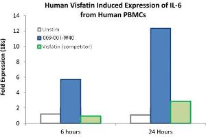 SDS-PAGE of Human Visfatin Recombinant Protein Bioactivity of Human Visfatin Recombinant Protein. (NAMPT 蛋白)