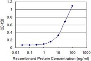 Detection limit for recombinant GST tagged MAZ is 0. (MAZ 抗体  (AA 1-264))