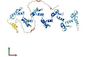 Protein Structure (PS) image for Zinc Finger Protein 83 (ZNF83) (AA 1-516) protein (His tag) (ABIN7545415)