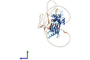 Protein Structure (PS) image for Protein Phosphatase, Mg2+/Mn2+ Dependent, 1D (PPM1D) (AA 1-605) protein (His tag) (ABIN7550974)