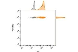 Flow cytometric analysis of bead-bound exosomes derived from MCF-7 cells. (CD63 抗体)