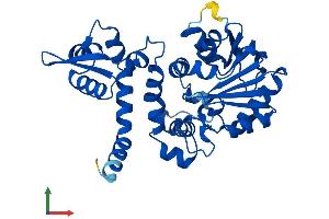 Protein Structure (PS) image for Acetylserotonin O-Methyltransferase (ASMT) (AA 1-345) protein (His tag) (ABIN7552367)