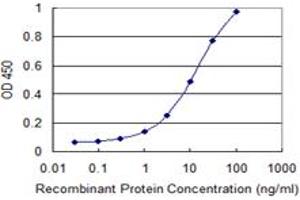 Detection limit for recombinant GST tagged ITGA7 is 0. (ITGA7 抗体  (AA 478-577))