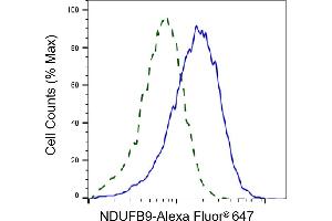 Validation of NDUFB9 knockdown using flow cytometry.