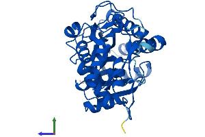 Protein Structure (PS) image for UDP-Galactose-4-Epimerase (GALE) (AA 1-348) protein (His tag) (ABIN7547950)