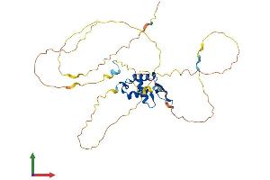 Protein Structure (PS) image for Forkhead Box A3 (FOXA3) (AA 1-350) protein (His tag) (ABIN7553925)