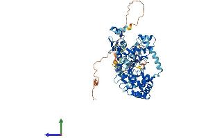Protein Structure (PS) image for Baculoviral IAP Repeat Containing 2 (BIRC2) (AA 1-618) protein (His tag) (ABIN7552738)