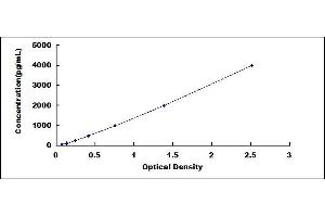 Typical standard curve (RETNLB ELISA 试剂盒)