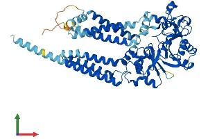 Protein Structure (PS) image for glycerophosphodiester phosphodiesterase Domain Containing 2 (GDPD2) (AA 1-539) protein (His tag) (ABIN7561475)