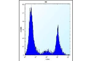 Flow Cytometry (FACS) image for anti-Cytochrome P450, Family 20, Subfamily A, Polypeptide 1 (CYP20A1) (AA 221-250) antibody (ABIN656565)