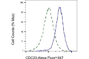 Validation of CDC23 knockdown using flow cytometry.