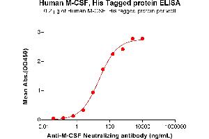 ELISA image for Colony Stimulating Factor 1 (Macrophage) (CSF1) (AA 33-255) protein (His tag) (ABIN7092731)
