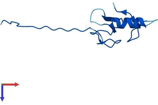 ANAPC11 Protein (AA 1-84) (Fc Tag)