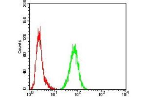 Flow Cytometry (FACS) image for anti-S100 Calcium Binding Protein B (S100B) (AA 1-92) antibody (ABIN7193505)