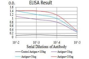 Black line: Control Antigen (100 ng),Purple line: Antigen (10 ng), Blue line: Antigen (50 ng), Red line:Antigen (100 ng) (RNLS 抗体  (AA 68-242))