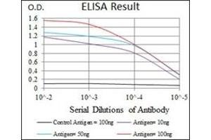 ELISA image for anti-CCAAT/enhancer Binding Protein (C/EBP), alpha (CEBPA) antibody (ABIN1106664) (CEBPA 抗体)