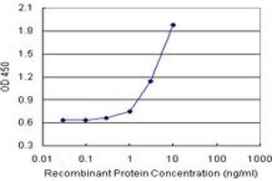 Sandwich ELISA detection sensitivity ranging from 1 ng/mL to 100 ng/mL. (IL15 (人) Matched Antibody Pair)