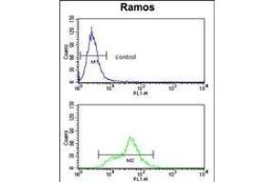 Flow Cytometry (FACS) image for anti-Enolase 1 (ENO1) (AA 405-434), (C-Term) antibody (ABIN1882077)