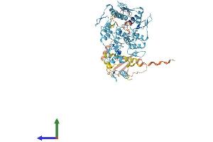 Protein Structure (PS) image for Zinc Finger Protein 189 (ZNF189) (AA 1-626) protein (His tag) (ABIN7545788)