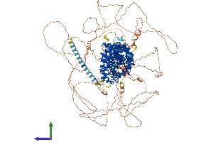 Protein Structure (PS) image for Plakophilin 4 (PKP4) (AA 1-1192) protein (His tag) (ABIN7554957)
