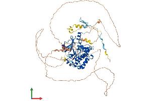 Protein Structure (PS) image for P21 Protein (Cdc42/Rac)-Activated Kinase 7 (PAK7) (AA 1-719) protein (His tag) (ABIN7554890)