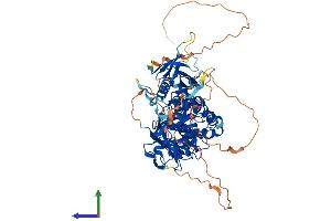 Protein Structure (PS) image for Sphingosine Kinase 2 (SPHK2) (AA 1-654) protein (His tag) (ABIN7546344)